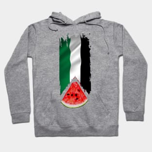 Palestine Flag Hoodie